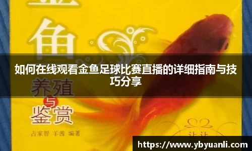 qy球友会