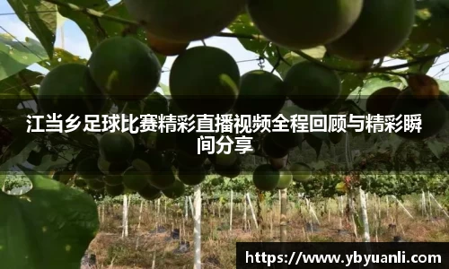 qy球友会体育