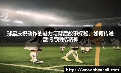 qy球友会